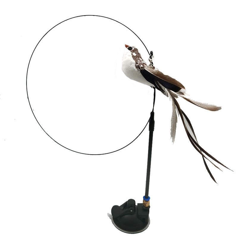 De Kattenvanger - Voor Een Enorme Speelplezier